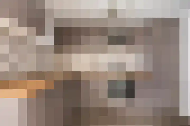 Pelikaanstraat 2 Tilburg thumbnail 15