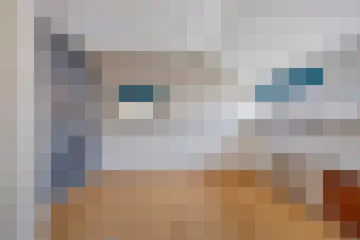 Pelikaanstraat 2 Tilburg thumbnail 5