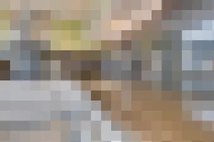 Pelikaanstraat 4 Heerlen thumbnail 12