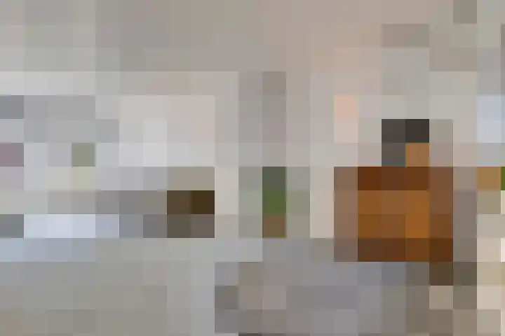 Pelikaanstraat 4 Heerlen thumbnail 18