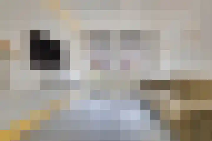Pelikaanstraat 4 Heerlen thumbnail 20