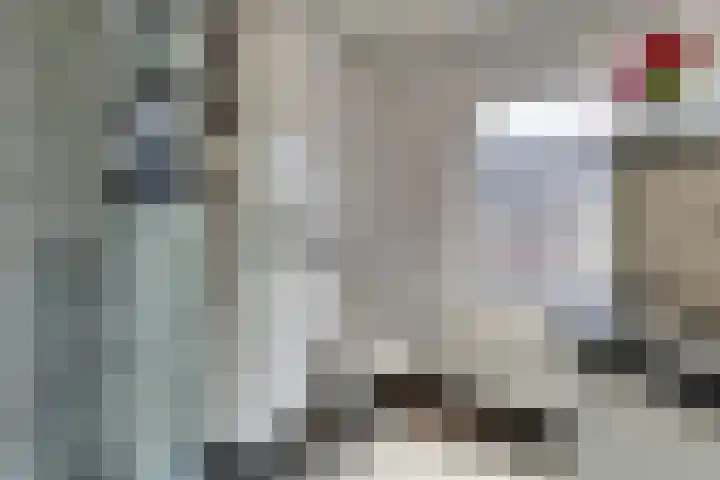 Pelikaanstraat 4 Heerlen thumbnail 30