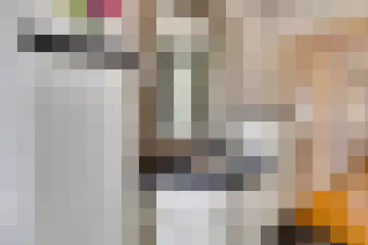 Pelikaanstraat 4 Heerlen thumbnail 31