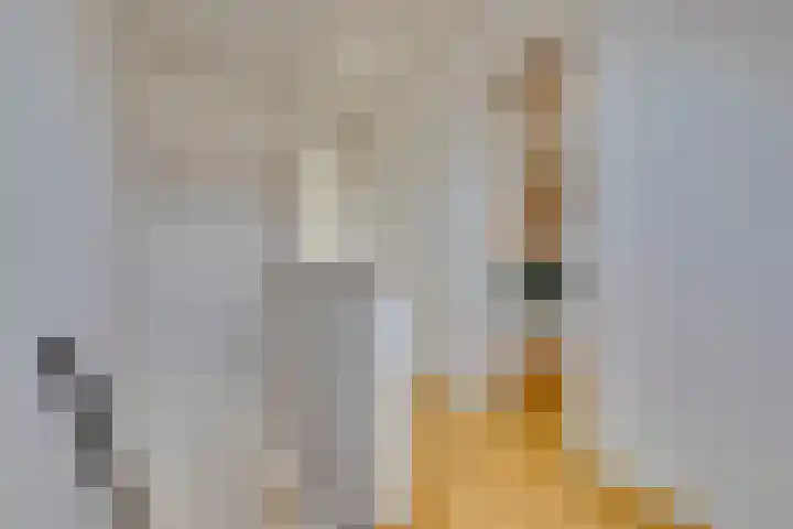 Pelikaanstraat 4 Heerlen thumbnail 37