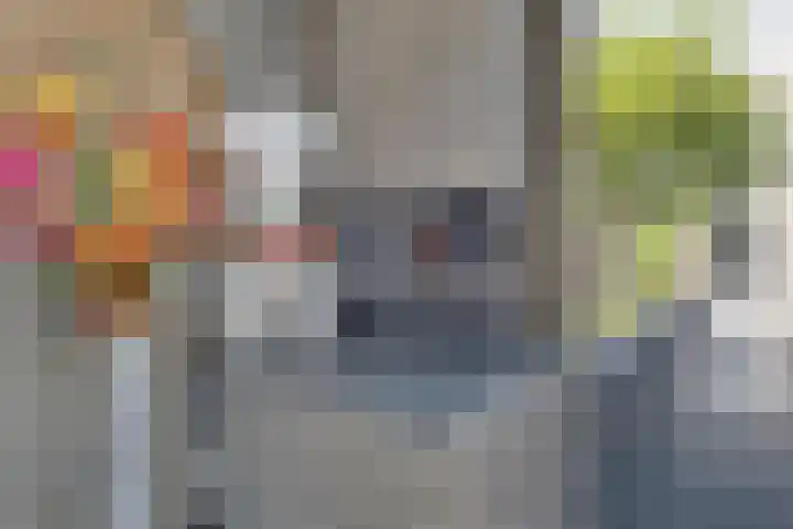 Pelikaanstraat 4 Heerlen thumbnail 47