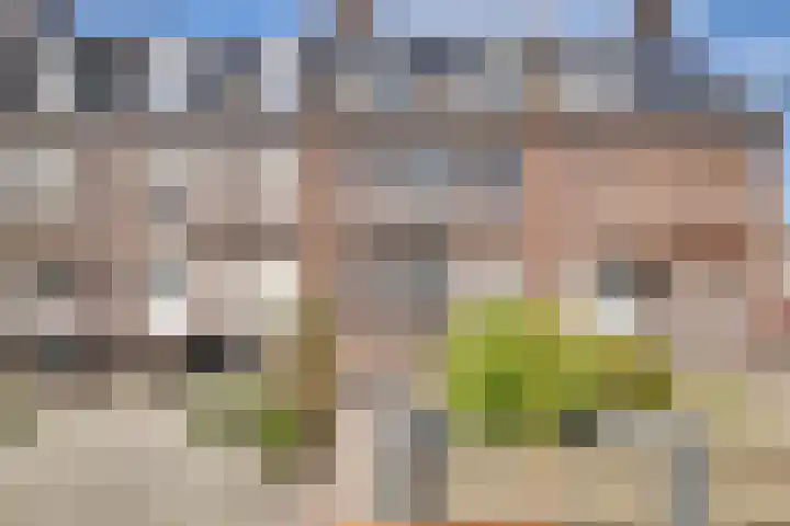 Pelikaanstraat 4 Heerlen thumbnail 55
