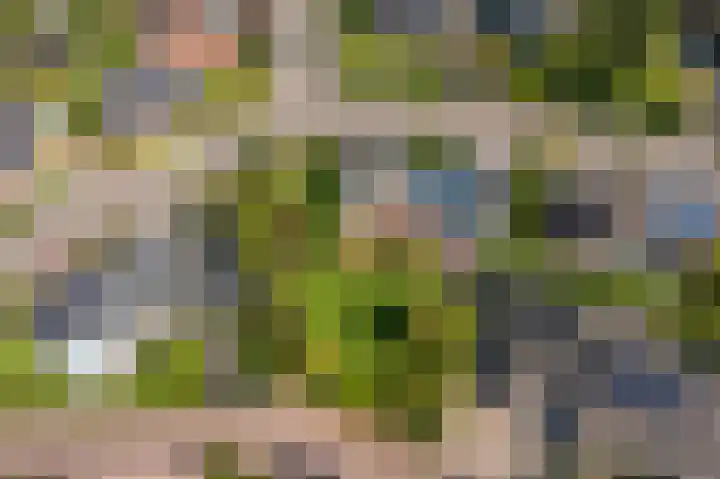 Pellerij 1 Delfzijl thumbnail 10