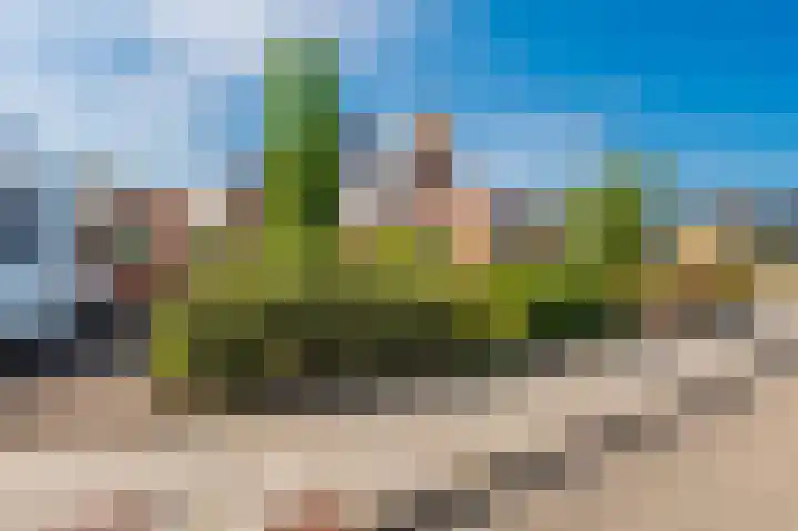 Pellerij 1 Delfzijl thumbnail 15