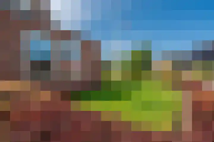 Pellerij 1 Delfzijl thumbnail 19