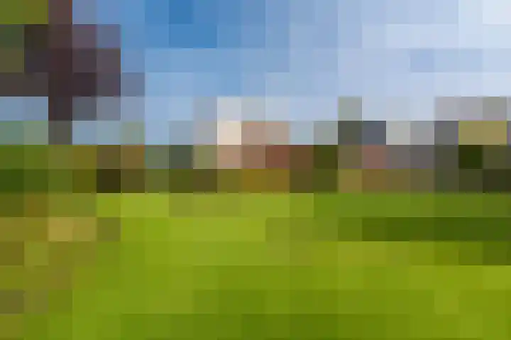 Pellerij 1 Delfzijl thumbnail 23