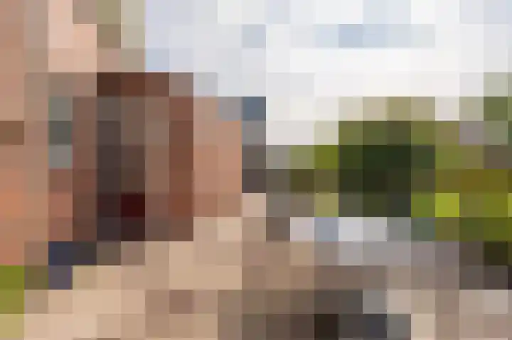 Pellerij 1 Delfzijl thumbnail 25