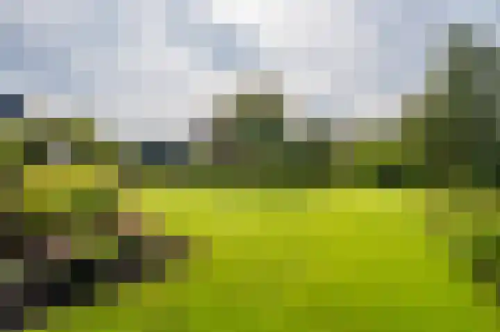 Pellerij 1 Delfzijl thumbnail 27