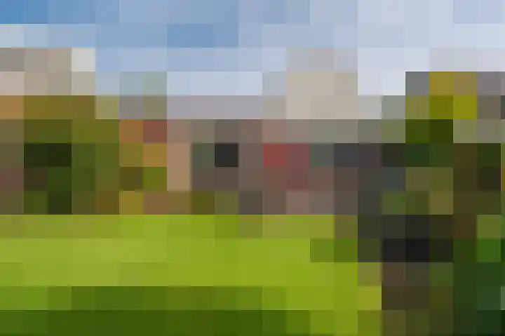 Pellerij 1 Delfzijl thumbnail 29