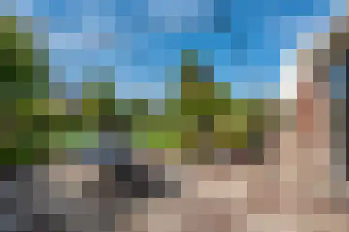 Pellerij 1 Delfzijl thumbnail 31