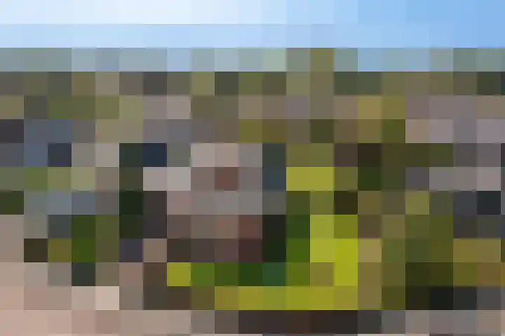 Pellerij 1 Delfzijl thumbnail 9