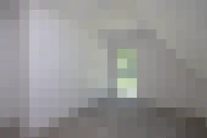Pelmolen 11 de Lutte thumbnail 10