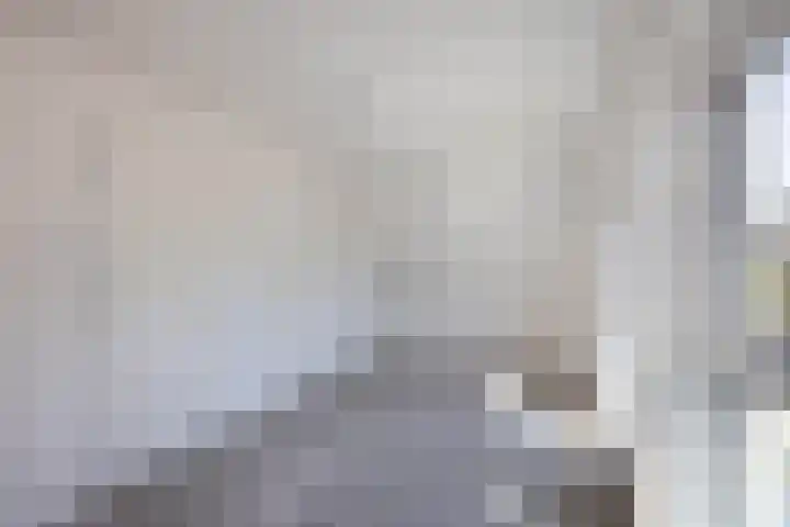 Pelmolen 11 de Lutte thumbnail 15