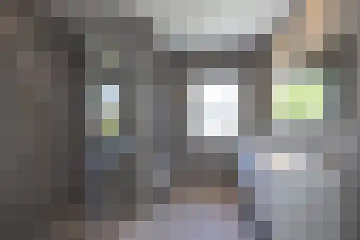 Pelmolen 11 de Lutte thumbnail 16