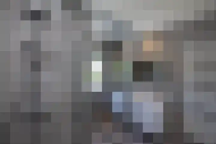 Pelmolen 11 de Lutte thumbnail 17
