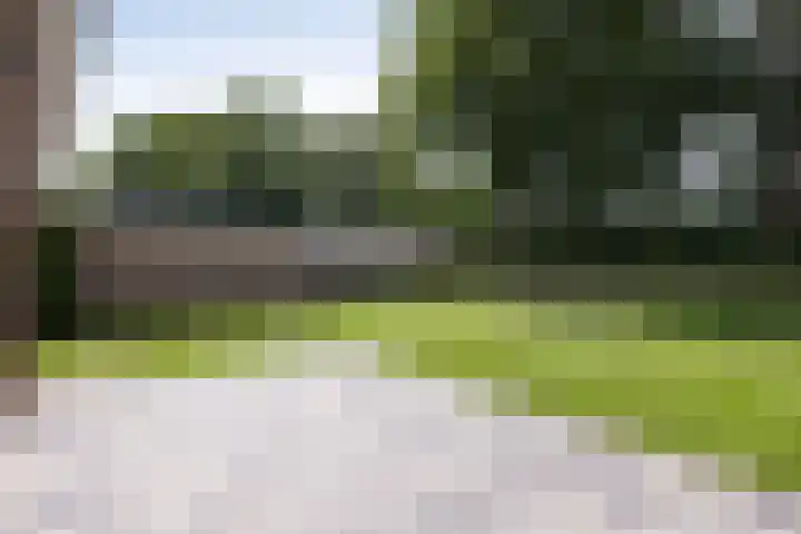 Pelmolen 11 de Lutte thumbnail 21