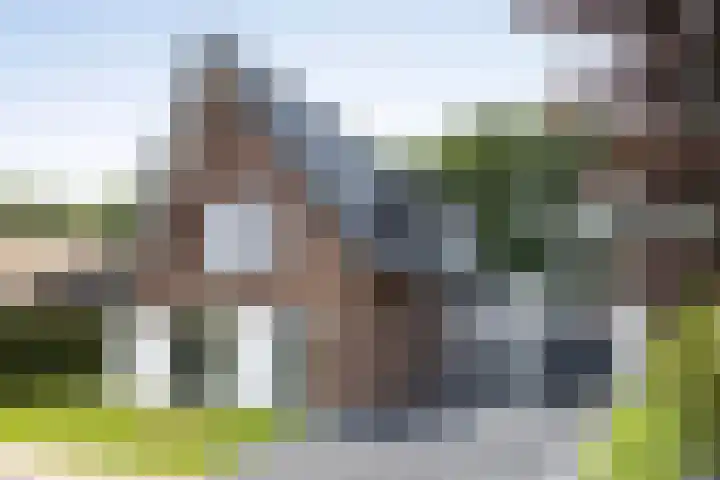 Pelmolen 11 de Lutte thumbnail 26