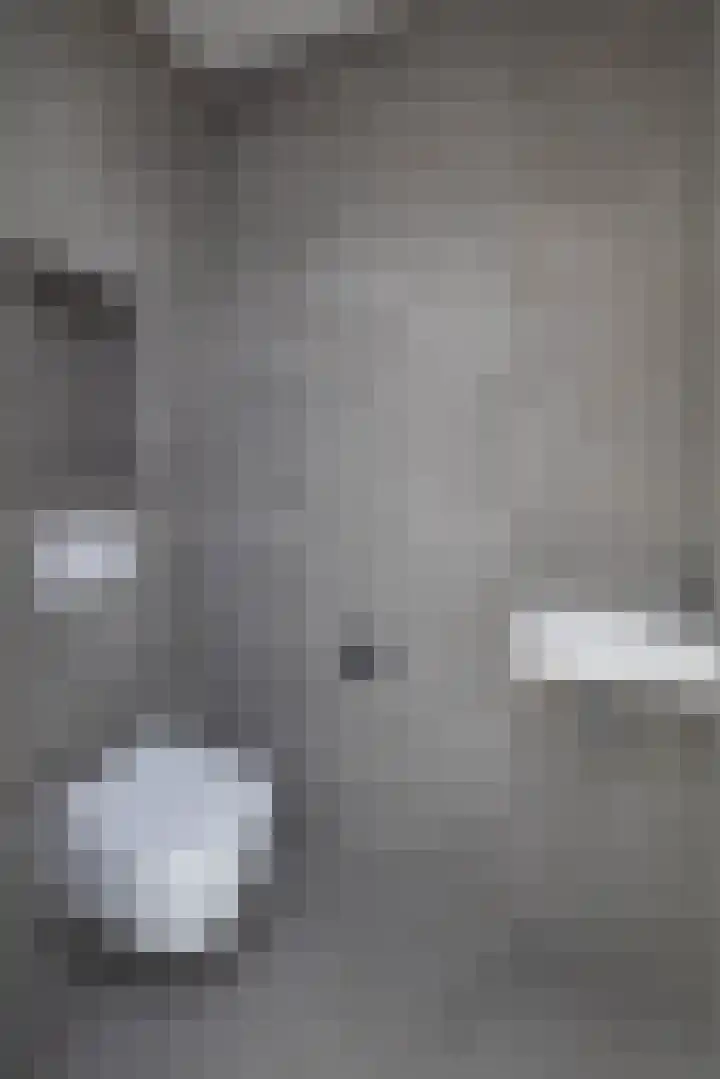 Pelmolen 11 de Lutte thumbnail 4
