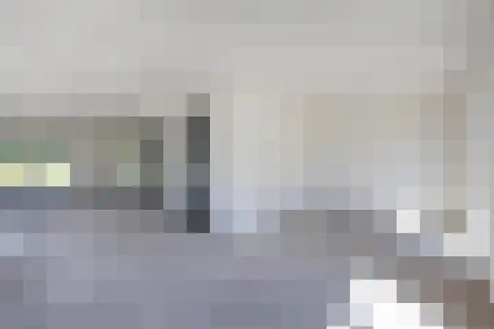 Pelmolen 11 de Lutte thumbnail 5