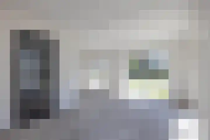 Pelmolen 11 de Lutte thumbnail 6