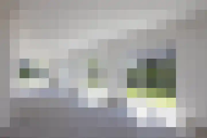 Pelmolen 11 de Lutte thumbnail 9