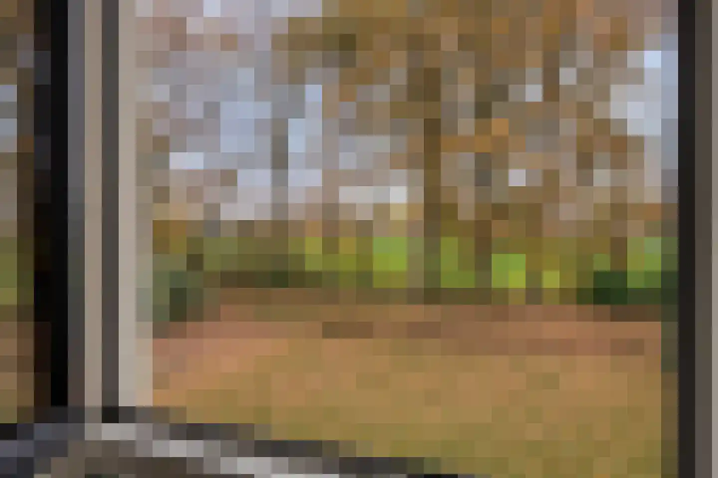 Pelmolen 17 de Lutte thumbnail 13