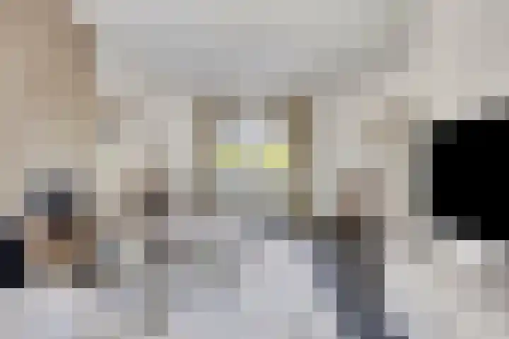 Pelmolen 6 de Lutte thumbnail 10