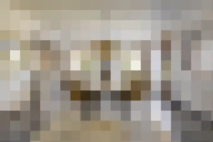 Pelmolen 6 de Lutte thumbnail 11