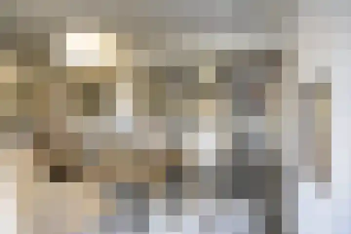 Pelmolen 6 de Lutte thumbnail 14