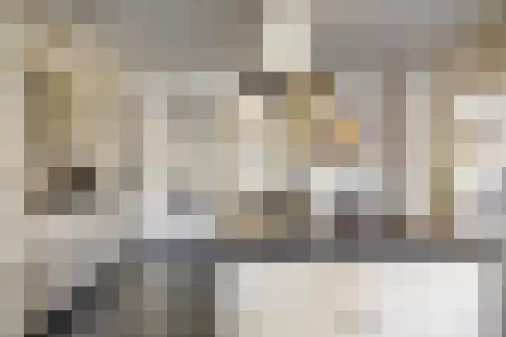 Pelmolen 6 de Lutte thumbnail 16