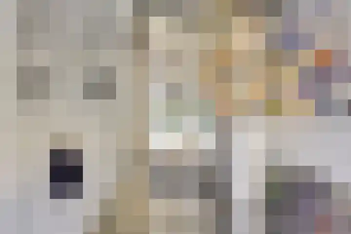 Pelmolen 6 de Lutte thumbnail 17