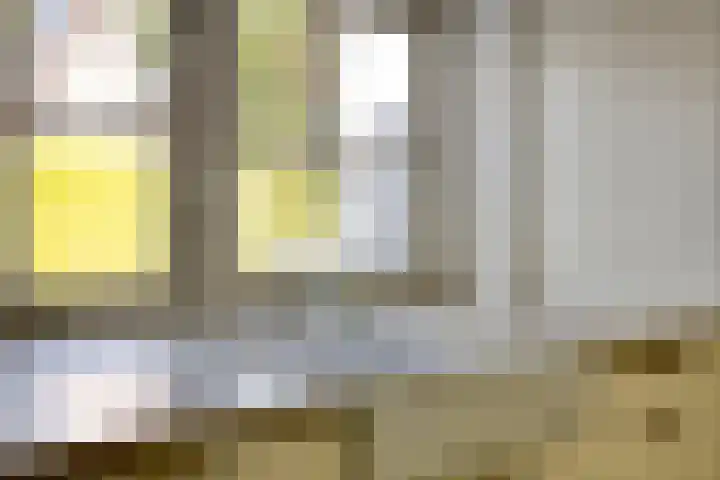 Pelmolen 6 de Lutte thumbnail 23