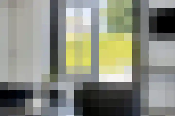 Pelmolen 6 de Lutte thumbnail 27