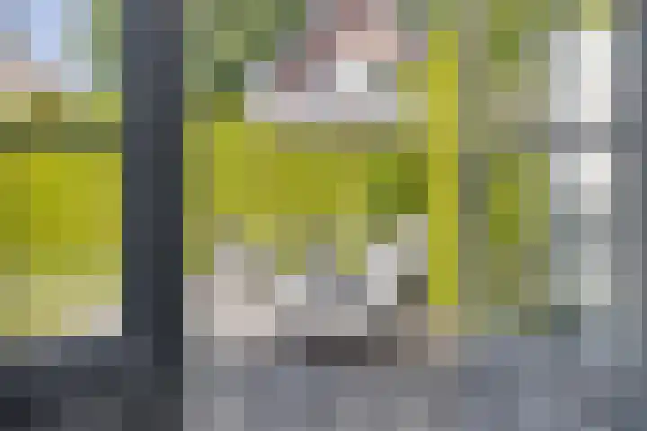 Pelmolen 6 de Lutte thumbnail 28