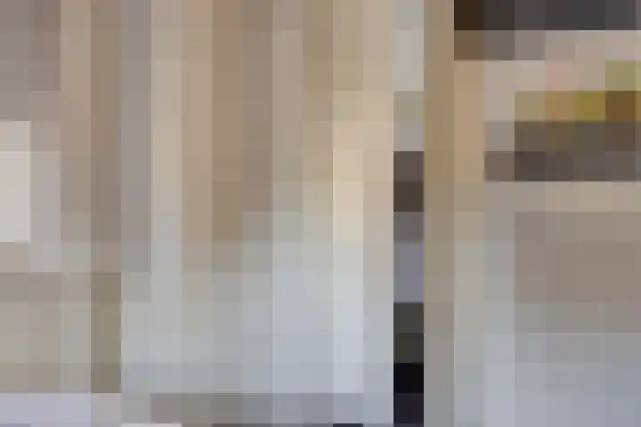 Pelmolen 6 de Lutte thumbnail 35
