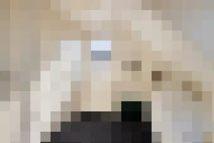 Pelmolen 6 de Lutte thumbnail 36