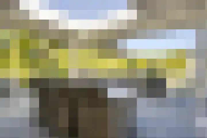 Pelmolen 6 de Lutte thumbnail 44