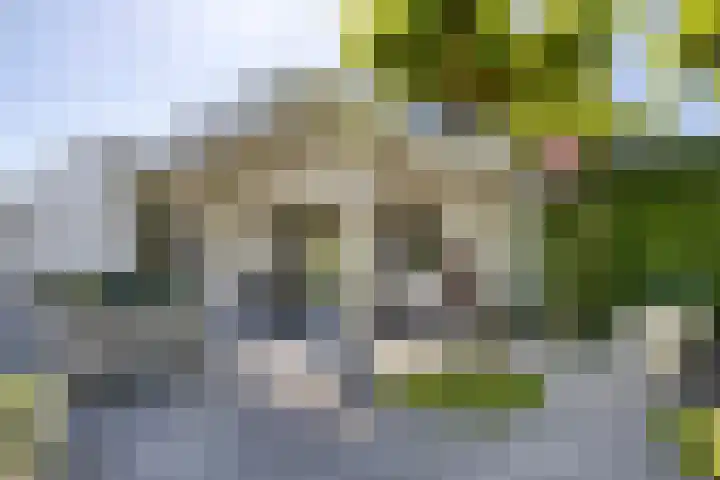 Pelmolen 6 de Lutte thumbnail 47