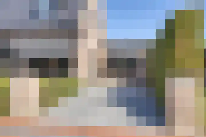 Pelmolen 6 de Lutte thumbnail 55