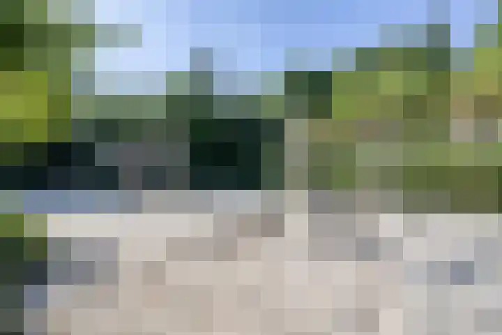 Pelmolen 6 de Lutte thumbnail 57