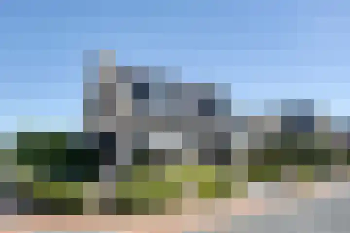 Pelmolen 6 de Lutte thumbnail 63