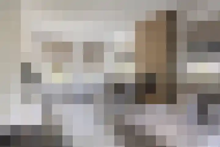 Pelmolen 6 de Lutte thumbnail 8