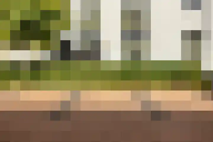 Pelmolenhof 11 Breda thumbnail 18