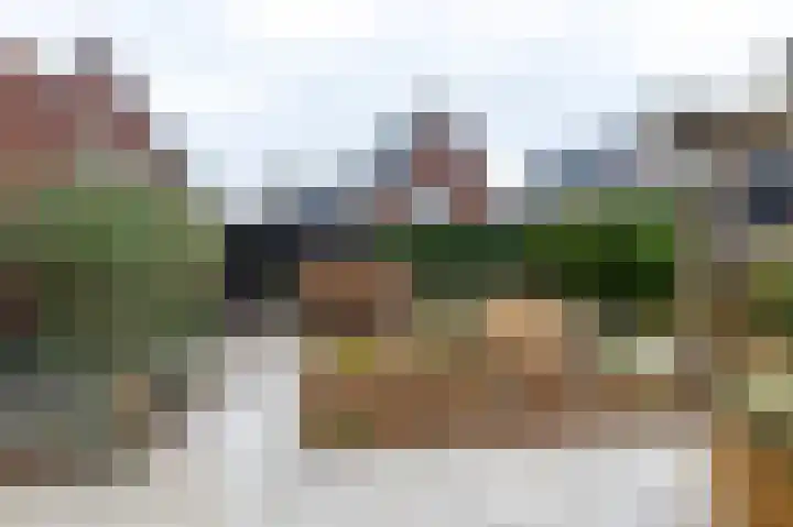 Peloton 8 Steenwijk thumbnail 47