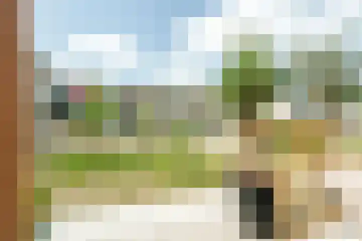 Pelotonlaan 20 Ede thumbnail 28