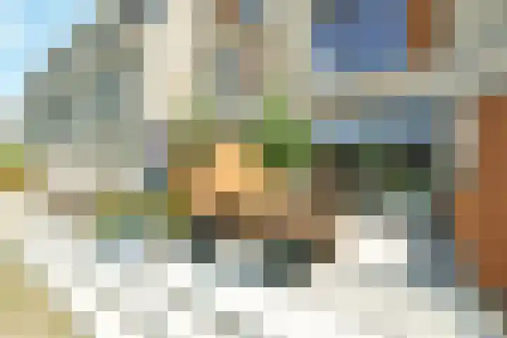 Pelotonlaan 20 Ede thumbnail 31